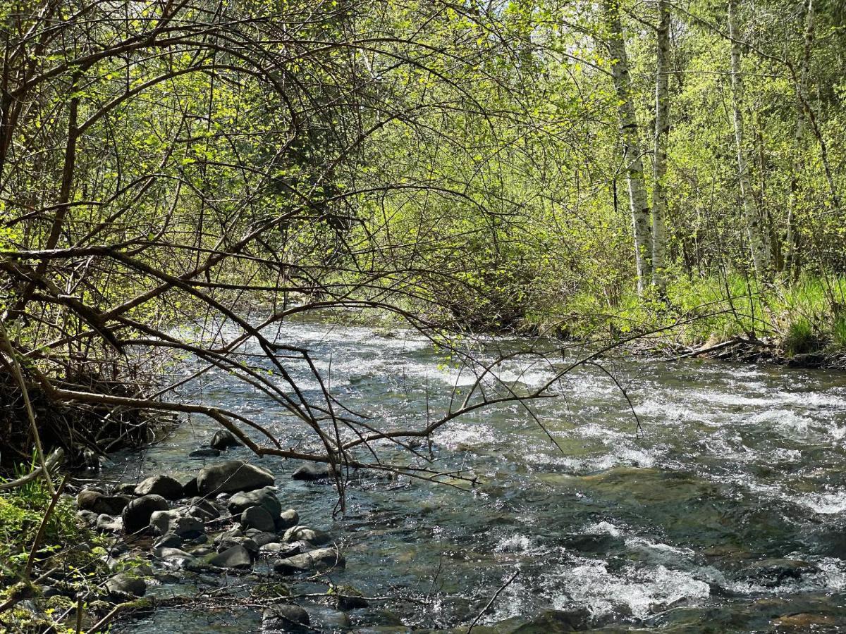 Mt Rainier Little Green Cabin On Big Creek! Ashford Kültér fotó