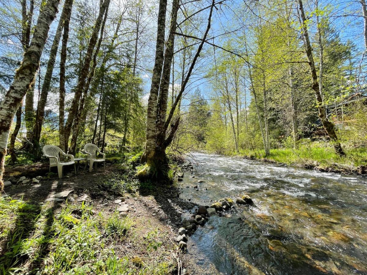 Mt Rainier Little Green Cabin On Big Creek! Ashford Kültér fotó