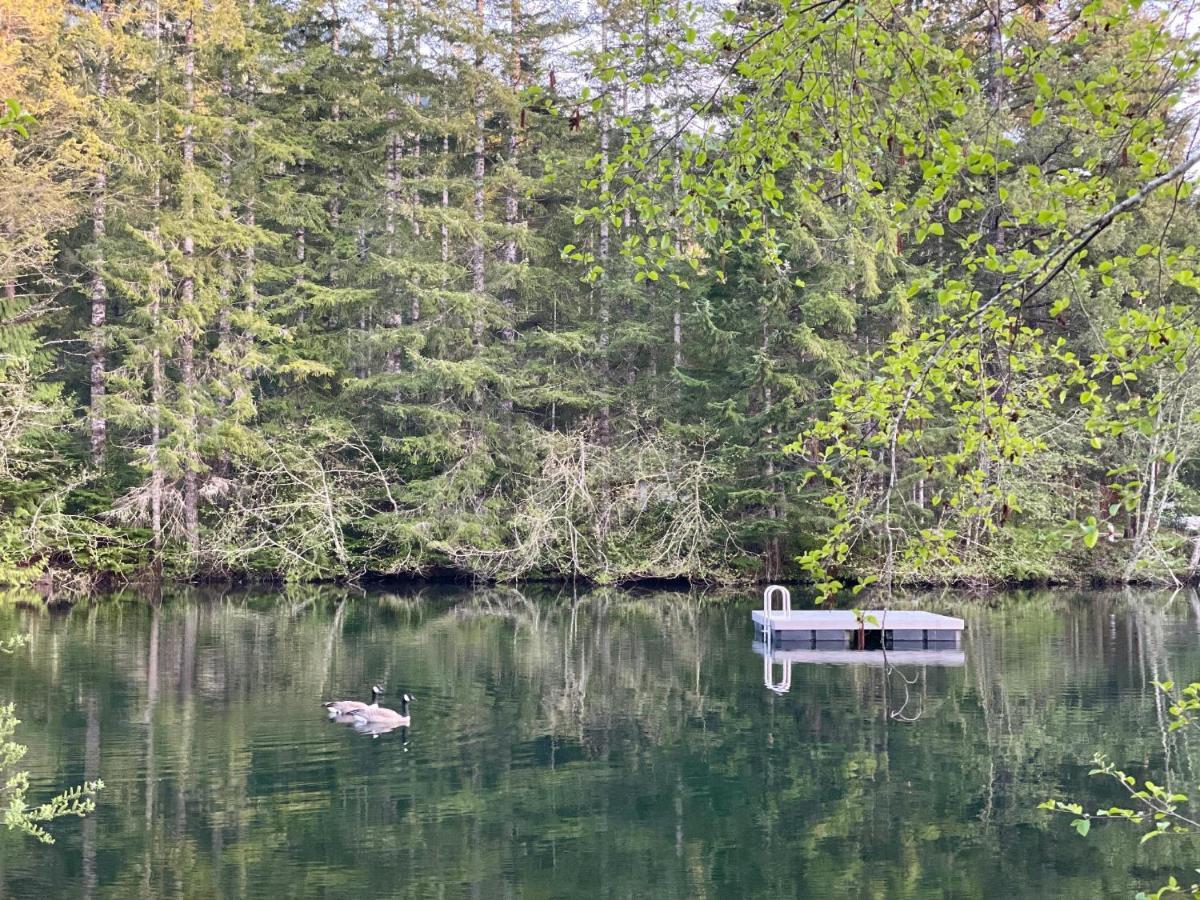 Mt Rainier Little Green Cabin On Big Creek! Ashford Kültér fotó